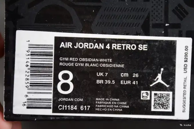Rep TBK SE Air CI1184-617 FIBA 4 Jordan 0525